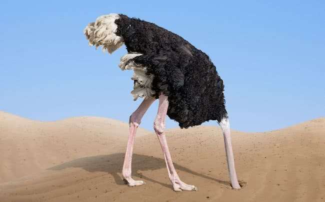 الإنكار – آلية تكيف فعالة