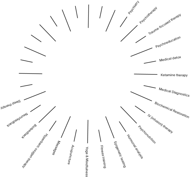 Diagrama del enfoque holístico de Paracelsus Recovery
